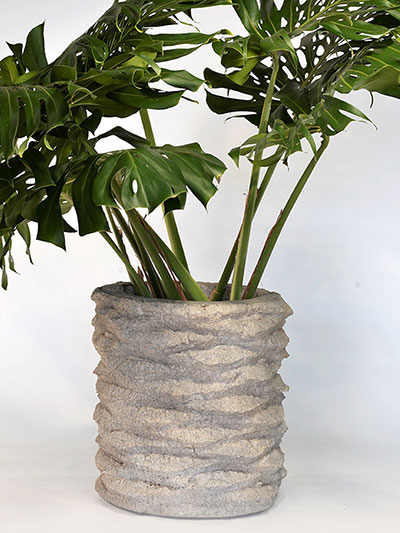 Jar Planter