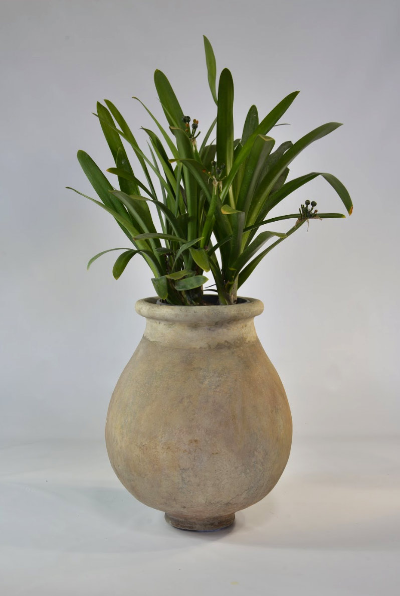 Jar Planter